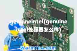 genuineintel(genuineintel处理器怎么样)