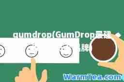 gumdrop(GumDrop最建议买的三个品牌)