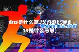 dns是什么意思(游泳比赛dns是什么意思)