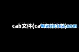 cab文件(cab文件安装)