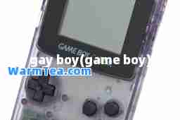 gay boy(game boy)