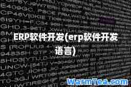 ERP软件开发(erp软件开发语言)