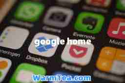 google home