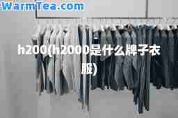 h200(h2000是什么牌子衣服)