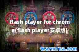 flash player for chrome(flash player安卓版)