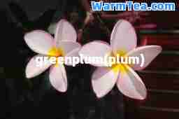 greenplum(plum)