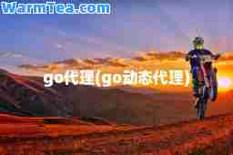 go代理(go动态代理)