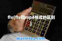 flv(flv和mp4格式的区别)