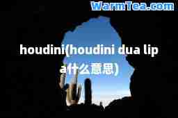 houdini(houdini dua lipa什么意思)