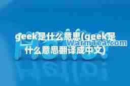 geek是什么意思(geek是什么意思翻译成中文)