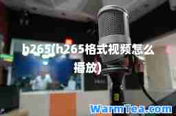 h265(h265格式视频怎么播放)