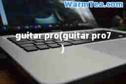 guitar pro(guitar pro7)