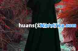 huans(幻世九歌)