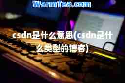 csdn是什么意思(csdn是什么类型的博客)