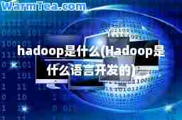 hadoop是什么(Hadoop是什么语言开发的)