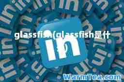 glassfish(glassfish是什么)