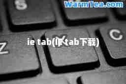 ie tab(IE tab下载)