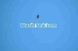 free18