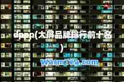 dppp(大屏品牌排行前十名)