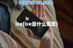 ise(ise是什么意思)