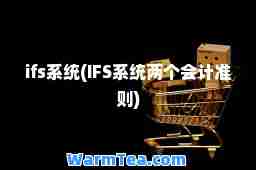 ifs系统(IFS系统两个会计准则)