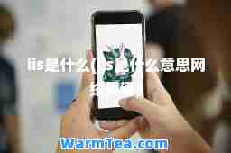 iis是什么(iis是什么意思网络用语)