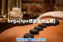hvga(hpv感染是什么病)