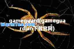 gameguard(gameguardian下载官网)