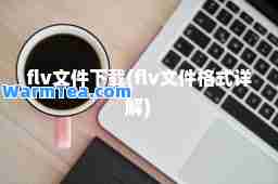 flv文件下载(flv文件格式详解)