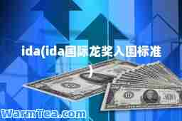 ida(ida龙奖入围标准)