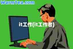 it工作(it工作者)