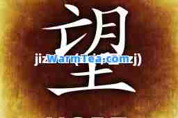jizz on(zzj中国zzj)