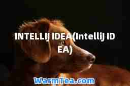 INTELLIJ IDEA(IntelliJ IDEA)