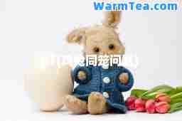 JIT(鸡兔同笼问题)
