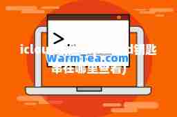 icloud钥匙串(icloud钥匙串在哪里查看)