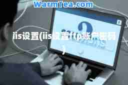 iis设置(iis设置ftp账户密码)