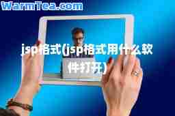 jsp格式(jsp格式用什么软件打开)