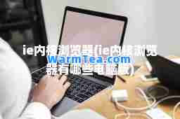 ie内核浏览器(ie内核浏览器有哪些电脑版)