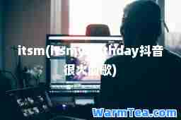 it(itybirthday抖音很火的歌)