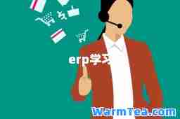 erp学习