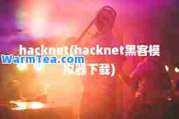 hacknet(hacknet黑客模拟器下载)