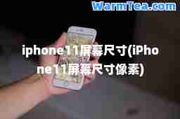 iphone11屏幕尺寸(iPhone11屏幕尺寸像素)