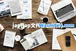 jap(jap文件怎么打开)