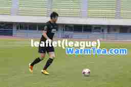 leaflet(league)