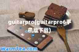 guitarpro(guitarpro6手机版下载)