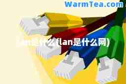 lan是什么(lan是什么网)