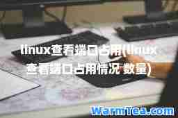 linux查看端口占用(linux查看端口占用情况 数量)