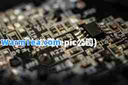 ic公司(epic公司)