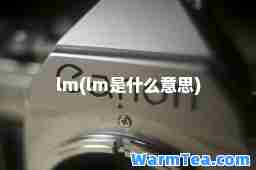 lm(lm是什么意思)