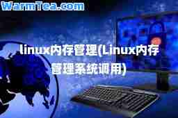 linux内存管理(Linux内存管理系统调用)